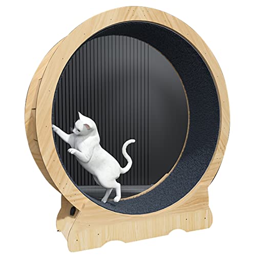 Laufrad für Katzen, leises Katzen-Übungsrad aus Holz, Laufband für Katzen im Innenbereich, Keine Lücke, Anti-Klemm-Abnahme, leises Hamsterrad mit Feststellvorrichtung Laufrad für Katzen, leises Katzen-Übungsrad aus Holz, Laufband für Katzen im Innenbereich, Keine Lücke, Anti-Klemm-Abnahme, leises Hamsterrad mit Feststellvorrichtung von Generic