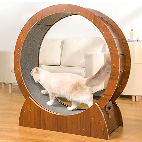 Laufrad für Katzen, leises Laufband für Katzen aus Holz, Sportspielzeug für kleine/mittlere/große Katzen, Laufrad für Katzen, Spielzeug für Katzen mit Sicherheitsschloss (Größe: Innendurchme Laufrad für Katzen, leises Laufband für Katzen aus Holz, Sportspielzeug für kleine/mittlere/große Katzen, Laufrad für Katzen, Spielzeug für Katzen mit Sicherheitsschloss (Größe: Innendurchme von Generic