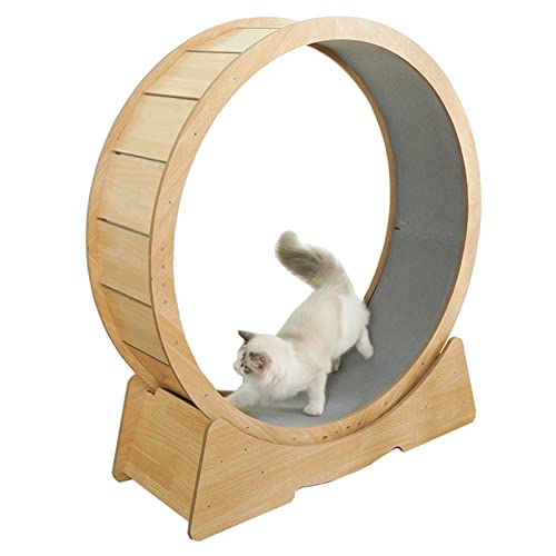 Laufrad für Katzen, rundes Katzen-Übungsrad, Spielzeug, Robustes Katzenlaufband für den Innenbereich mit extrem leisem Lauf, Laufrad für Kätzchen, kleine/mittelgroße Haustiere (Größe: L-Durc Laufrad für Katzen, rundes Katzen-Übungsrad, Spielzeug, Robustes Katzenlaufband für den Innenbereich mit extrem leisem Lauf, Laufrad für Kätzchen, kleine/mittelgroße Haustiere (Größe: L-Durc von Generic