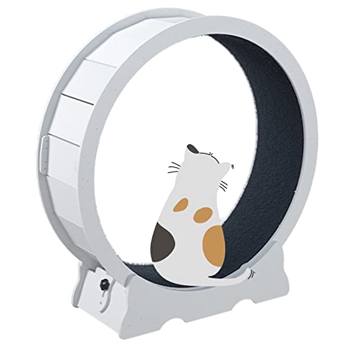 Laufrad für Katzen, weiß, lückenlos, Laufband für Katzen, Robustes Übungsrad für Katzen im Innenbereich, Anti-Klemm-Laufrad für Katzen, Gewichtsverlust, Sicherheit und leise Laufrolle für Ka Laufrad für Katzen, weiß, lückenlos, Laufband für Katzen, Robustes Übungsrad für Katzen im Innenbereich, Anti-Klemm-Laufrad für Katzen, Gewichtsverlust, Sicherheit und leise Laufrolle für Ka von Generic