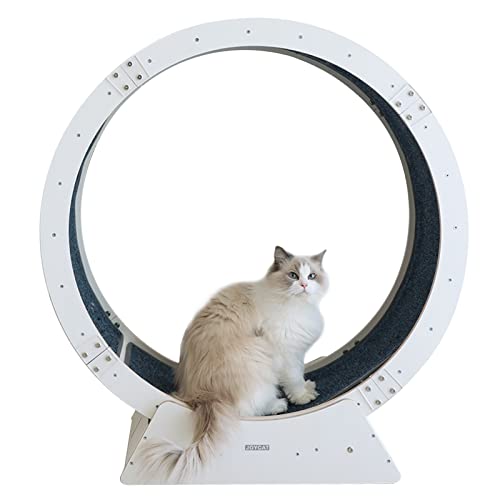 Laufrad für Katzen, weißes Laufband für Katzen, rutschfestes Laufrad für Katzen, leises und stabiles Laufrad für Katzen, Spielzeug für Kätzchen/Kätzchen/kleine Hunde (Größe: 90 cm/35,4 Zoll) Laufrad für Katzen, weißes Laufband für Katzen, rutschfestes Laufrad für Katzen, leises und stabiles Laufrad für Katzen, Spielzeug für Kätzchen/Kätzchen/kleine Hunde (Größe: 90 cm/35,4 Zoll) von Generic