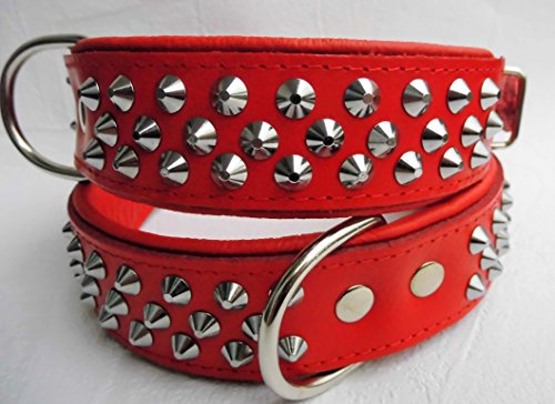 Leder Halsband - Hundehalsband, Nieten, Halsumfang 33-41cm, NEU (PL.5-03-9-00) von Generic