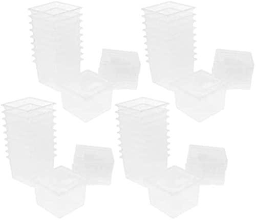 Leere Behälter für Spinnenzucht, Kunststoff, transparent, 40 Stück von Generic