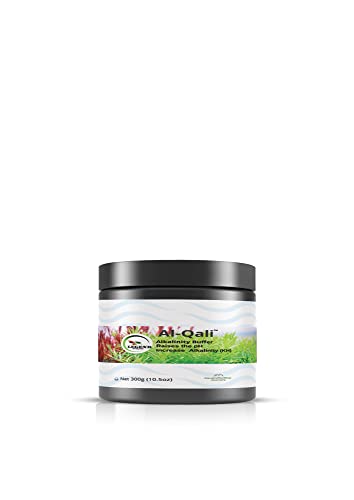 Legend Al-Qali 300g, 600g, 1000g, 1500g Puffer pH Erhöhung KH/Alkalinität Süßwasser Aquarium Aquarium (300g) von Generic