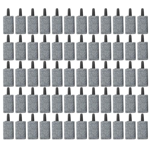 Luftstein für Aquarium, Luftsteine für Aquarien, Airstone-Diffusor für Aquarien, Luftsteinblase, 60 Stück, Bubbler-Diffusor Luftstein für Aquarium, Luftsteine für Aquarien, Airstone-Diffusor für Aquarien, Luftsteinblase, 60 Stück, Bubbler-Diffusor von Generic