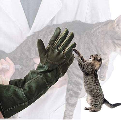 Massagehandschuhe für Haustiere: Handschuhe zum Entfernen von Hunden, Reinigungshandschuhe für Haustiere, verstärkte Lederhandschuhe für Haustiere, doppelte Schutzschicht Massagehandschuhe für Haustiere: Handschuhe zum Entfernen von Hunden, Reinigungshandschuhe für Haustiere, verstärkte Lederhandschuhe für Haustiere, doppelte Schutzschicht von Generic
