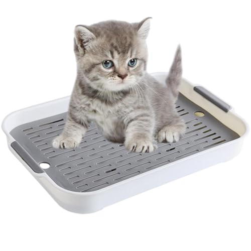 Meerschweinchen-Toiletten-Trainer-Box, Abfluss-Toilettenvorleger, Badezimmer-Zubehör, Badezimmer-Zubehör, Eck-Abfluss-Tablett, Badezimmer-Zubehör, Eck-Abfluss-Box, Toiletten-Tablett, Kleintierbedarf Meerschweinchen-Toiletten-Trainer-Box, Abfluss-Toilettenvorleger, Badezimmer-Zubehör, Badezimmer-Zubehör, Eck-Abfluss-Tablett, Badezimmer-Zubehör, Eck-Abfluss-Box, Toiletten-Tablett, Kleintierbedarf von Generic