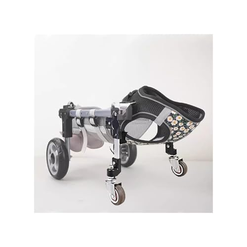 Mobilitätshilfe Hunde, Rollstuhl, Verstellbare Vorder Hinterräder Kleine, Mittelgroße Große Hunde Lähmung Oder Verletzung, Beinschiene, Trolley Arthritis Mobilitätsunterstützung(2-Wheel,M) von Generic