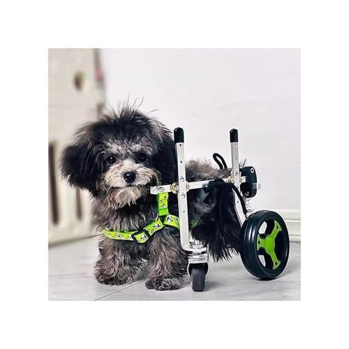 Mobilitätshilfen Für Hunde, Rollstuhl Mit Voller Unterstützung, 4-Rad-Beinschiene Für Hunde, Hinterbein, Rehabilitationswagen Für Behinderte Hunde, Hilft Haustieren Beim Aufstehen(XS) von Generic