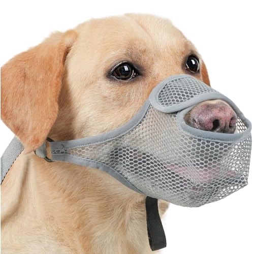 Mündung Für Hund - Atmungsaktives Weiches Netzmundabdeckung | Einstellbare Anti-Barking & Scavenging Prevention Mündung Für Kleine, Mittlere Und Große Hunde | Bequemer Pet Safety Guard Für Den Gebrauc Mündung Für Hund - Atmungsaktives Weiches Netzmundabdeckung | Einstellbare Anti-Barking & Scavenging Prevention Mündung Für Kleine, Mittlere Und Große Hunde | Bequemer Pet Safety Guard Für Den Gebrauc von Generic
