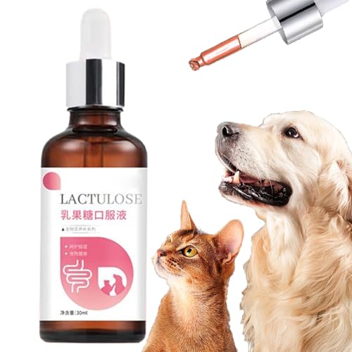 Nahrungsergänzung Für Hunde | 30ml Flüssige Nahrungsergänzung Für Hunde,Sanfte Aufnahme Öltropfen Nicht Reizend Für Welpen Kätzchen Tägliche Pflege Haustiere Nahrungsergänzung Für Hunde | 30ml Flüssige Nahrungsergänzung Für Hunde,Sanfte Aufnahme Öltropfen Nicht Reizend Für Welpen Kätzchen Tägliche Pflege Haustiere von Generic