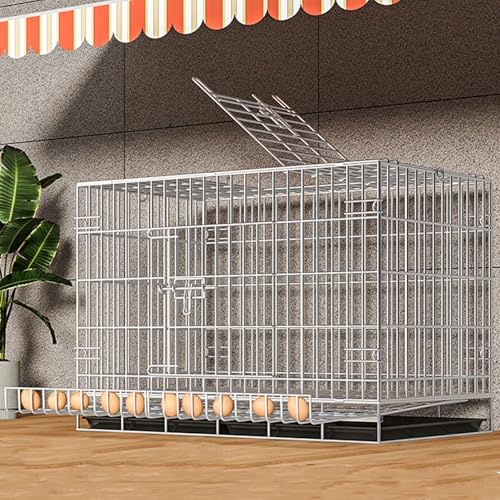 Netz Hühnergehege Groß Aus Metall Mit Herausziehbarem Boden-Tablett Verriegelungstür Regenabdeckung Herausnehmbarem Ei-Tablett Hühnerhaus Winterfest Klein(150 * 60 * 70CM) von Generic
