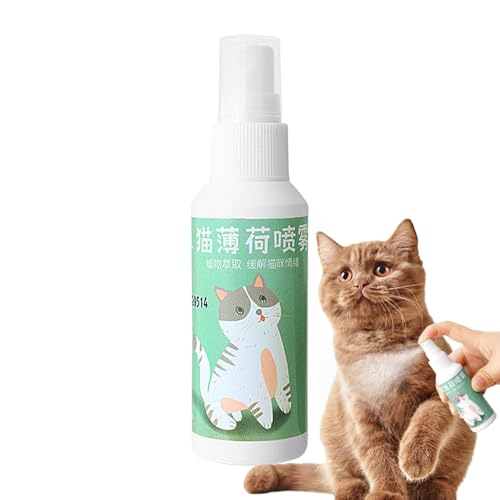 Nip Cat Spray, natürliche Catnip für Katzen, verlängerte Spieldauer, Katzenliebhaber und Katzen, sicher und nicht süchtig, 50 ml Katzenminze, hohe Leistung für Katzenspielzeuge, Teaser Nip Cat Spray, natürliche Catnip für Katzen, verlängerte Spieldauer, Katzenliebhaber und Katzen, sicher und nicht süchtig, 50 ml Katzenminze, hohe Leistung für Katzenspielzeuge, Teaser von Generic