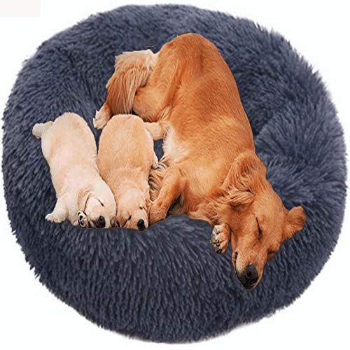 Orthopädisches Hundebett – extra großes Donut-Kissen für Hunde, flauschige warme Matratze, waschbar, Anti-Angst-Nest für Komfort und Unterstützung Orthopädisches Hundebett – extra großes Donut-Kissen für Hunde, flauschige warme Matratze, waschbar, Anti-Angst-Nest für Komfort und Unterstützung von Generic