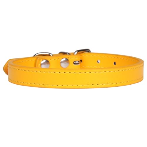 PU-Lederhalsband für kleine und mittelgroße Hunde Katzenzubehör Ideal zum Spazierengehen von Generic