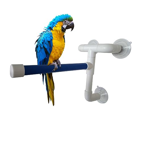 Papageien-Badeständer Papagei Sitzstangen Vogel Dusche Sitzstangen Haustier Vogel Bad Stehen Rack Papagei Kunststoff Rohr Stehen Spielzeug Mit Starken Saugnapf for Ara Sittich Papageien-Badeständer Papagei Sitzstangen Vogel Dusche Sitzstangen Haustier Vogel Bad Stehen Rack Papagei Kunststoff Rohr Stehen Spielzeug Mit Starken Saugnapf for Ara Sittich von Generic