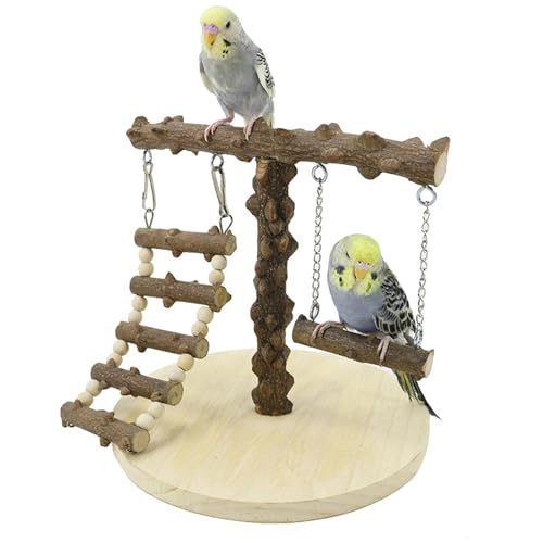 Papageien-Spielständer - Vogelspielständer, Fitnessstudio für Papageien-Spiele aus | Trainingsregal für Vögel mit Leiter und Schaukel, natürliche Sitzstangen, Park von Generic