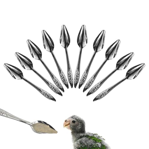 Papageienlöffel | Futterlöffel mit der Hand, Werkzeug zur Pflege der Tiere, Milchlöffel für Vögel, aus Metall, Löffel zum Füttern von Hand für Wellensittiche, Sittiche, Nymphensittiche von Generic