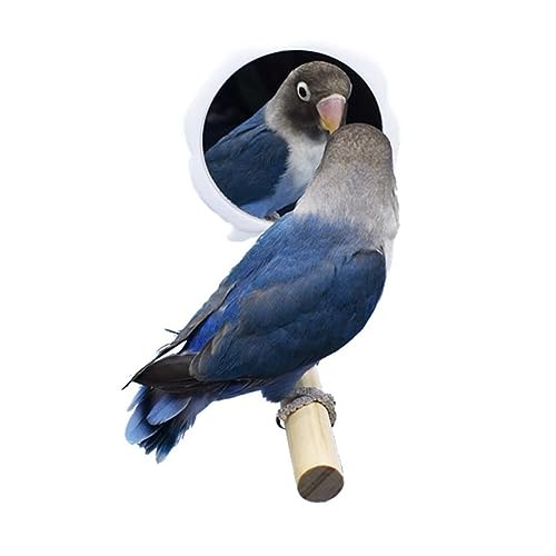 Papageienspiegel Sittich Vogel Vogelspielzeug Papageienspiegel Spielzeug Papageientrainingsspielzeug Vogelspielzeug Vogelspiegelständer Zubehör Papageienspielzeug Vogelspiegel mit Vogelkäfig Aufstehen Papageienspiegel Sittich Vogel Vogelspielzeug Papageienspiegel Spielzeug Papageientrainingsspielzeug Vogelspielzeug Vogelspiegelständer Zubehör Papageienspielzeug Vogelspiegel mit Vogelkäfig Aufstehen von Generic