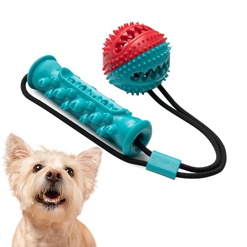 Paw-er Play Kauspielzeug für Hunde mit Seil und Ballbefestigung – ungiftiges, langlebiges und interaktives Zahnreinigungsspielzeug für mittlere und große Rassen von Generic
