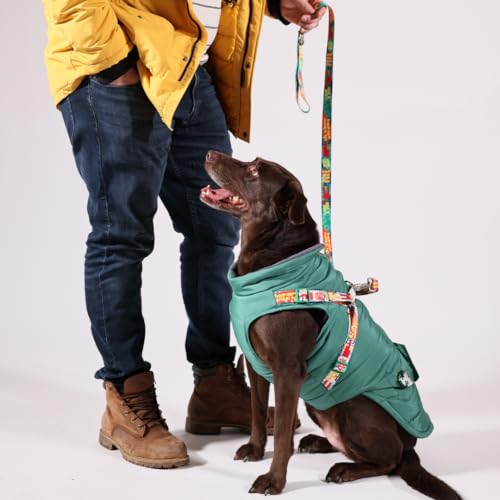 Pawlook Hunde-Regenmantel mit Brustleine und Halsband, wiederverwendbarer, wasserdichter Haustiermantel für kleine Hunde, mittelgroße Hunde, große Hunde (Grün, Größe XXL) von Generic