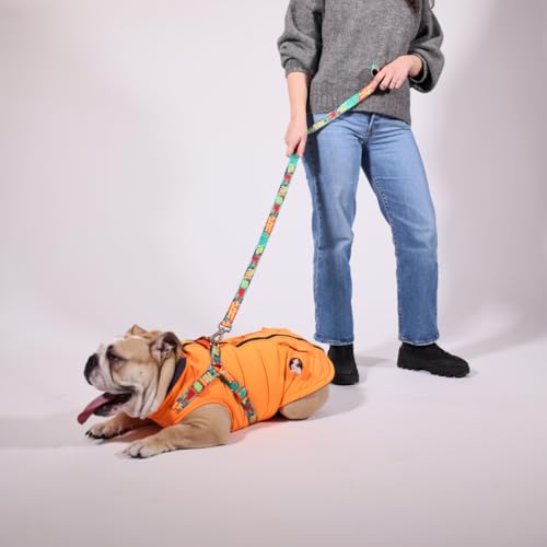Pawlook Hunde-Regenmantel mit Brustleine und Halsband, wiederverwendbarer, wasserdichter Haustiermantel für kleine Hunde, mittelgroße Hunde, große Hunde (Orange, L) von Generic
