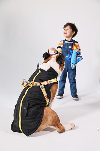 Pawlook Hunde-Regenmantel mit Brustleine und Halsband, wiederverwendbarer, wasserdichter Haustiermantel für kleine Hunde, mittelgroße Hunde, große Hunde (Schwarz, Größe M) von Generic
