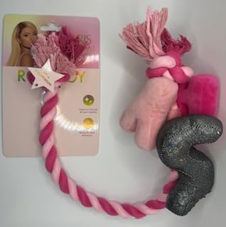 Pet Rope Toy, Pink Twisted Dental Chew with Tassels, Interactive Dog Game von Generic
