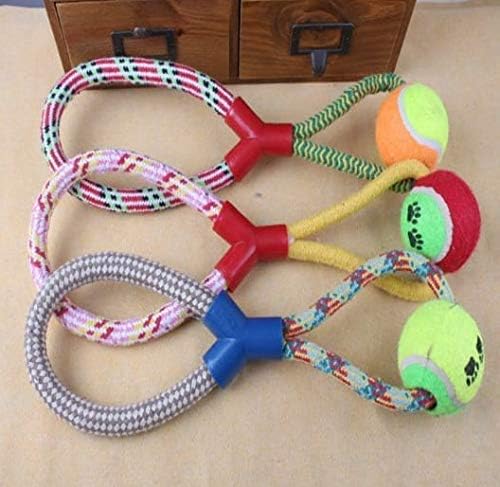 Pets Kauspielzeug für Welpen / Katzen, ungiftig, Baumwolle, langlebig, mit Tennisball, 26 cm, mehrfarbig Pets Kauspielzeug für Welpen / Katzen, ungiftig, Baumwolle, langlebig, mit Tennisball, 26 cm, mehrfarbig von Generic