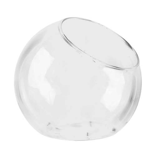 Pflanzer Terrariums - Rundes Glas Terrarium Jar Pflanzer Blumenpot | Luftpflanzenhalter Terrariumtank, Pflanzschüssel Vase Home Anzeige Herzstück für saftige Miniatur -Moos -Luftpflanze von Generic