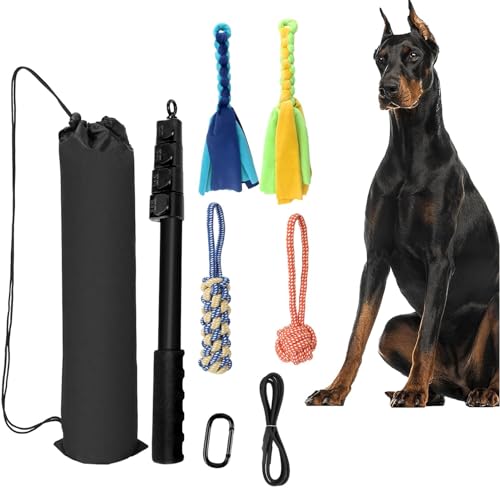 Pfostenspielzeug für Hunde – Teaserstab für Hunde, Trainingspfosten für Hunde, einziehbarer Stab für Haustiere | Seilzugspielzeug für Hunde, ausziehbar, mit Conceptio Pfostenspielzeug für Hunde – Teaserstab für Hunde, Trainingspfosten für Hunde, einziehbarer Stab für Haustiere | Seilzugspielzeug für Hunde, ausziehbar, mit Conceptio von Generic