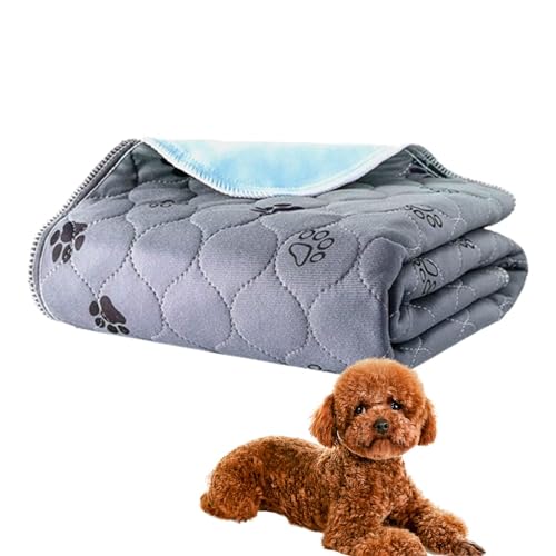 Pipi-Pads für Hunde, waschbare Pipi-Pads für Welpen – Wiederverwendbare Strümpfe für Hunde | Super saugfähige Hunde-Pads Pipi-Pads für Hunde, waschbare Pipi-Pads für Welpen – Wiederverwendbare Strümpfe für Hunde | Super saugfähige Hunde-Pads von Generic