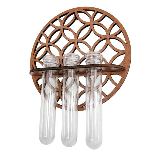 Plant -Terrarium -Propagationsstation - Holzständer -Propagationsstation mit 3 Reagenzglas - Mehrere Szenen verfügbar dekorative Verbreitungsanlagenstation für Home Dekoration, Hydroponikpflanzen von Generic