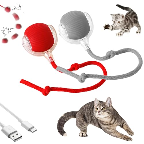 Quietschendes interaktives Hundeballspielzeug, Aktiv mit für Aktiv für Mart, Rollie Pet Cat, 360° Mart Automatisches Haustier mit Schwanz (2 Stück) von Generic