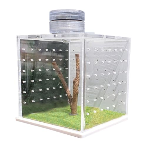 RECCO DI RIPIDER JUMPING - transparentes Acryl-Terrarium mit Luftbefeuchter und Reptilienreproduktionslicht | Frösche, Amphibien, Insekten und Vogelspinnen | sicherer belüfteter Lebensraum für kleine von Generic