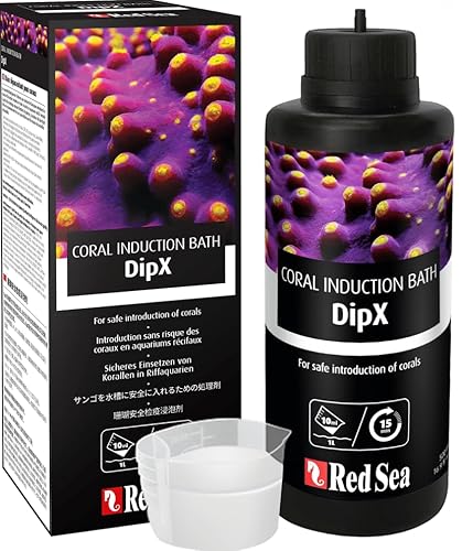 Red Sea DipX Sicheres einsetzen Neuer Korallen von Guoml