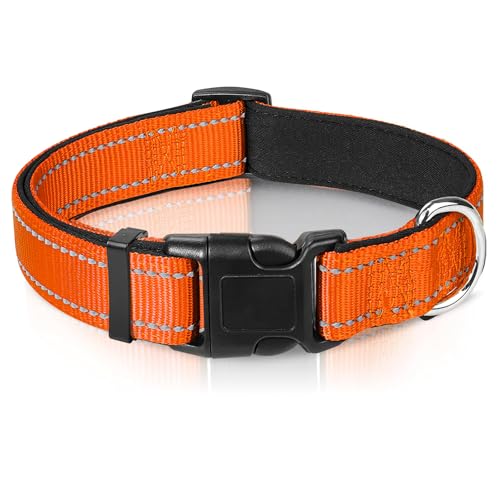 Reflektierendes Hundehalsband, verstellbares Nylon-Halsband mit Schnellverschluss-Schnalle für kleine, mittelgroße Hunde, Orange, Größe S von Generic