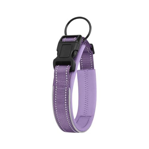 Reflektierendes Nylonhalsband für Hunde, Tauchmaterial, verstellbare Halsbänder mit strapazierfähiger Polsterung, für mittelgroße und große Hunde (Purple,S) von Generic