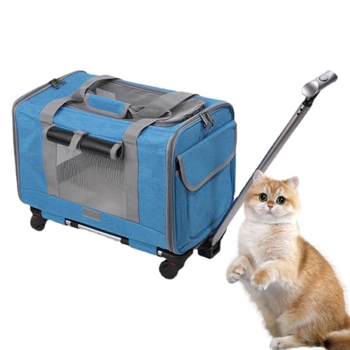 Reisetasche für Hunde, Reise-Organizer für Hunde, von Fluggesellschaften zugelassen, Reisetasche für Hunde während der Nacht, Transportbox für Haustiere Co Reisetasche für Hunde, Reise-Organizer für Hunde, von Fluggesellschaften zugelassen, Reisetasche für Hunde während der Nacht, Transportbox für Haustiere Co von Generic