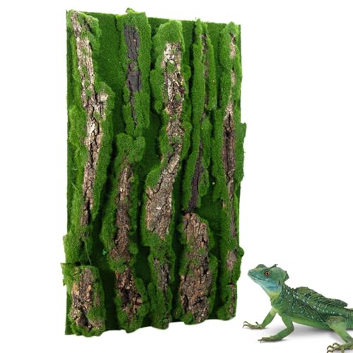 Reptil Kork Terrarium Hintergrund, Eidechse Lebensraum Dekorationen Rinde Hintergrund | Reptil Lebensraum Dekor mit künstlichem Moos für Gecko-Eidechse Schildkröte von Generic
