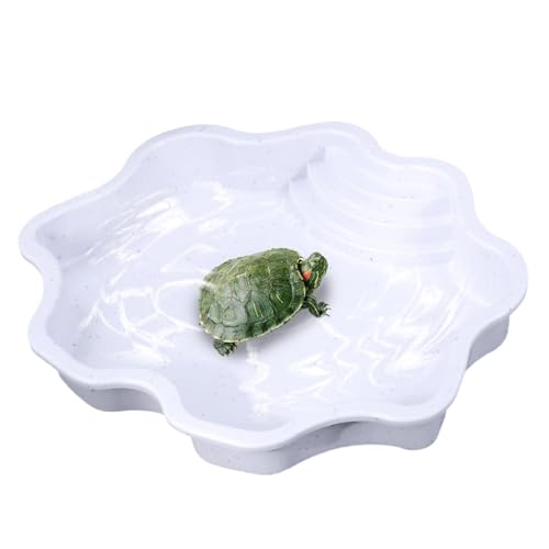 Reptile Water Bowl-Turle-Turle-Turle-Turle-Schüssel Large, Reptilien-Schildkröte, Wanne, Holzschale, Tutty, Reptilien-Tablett, inkl von Generic