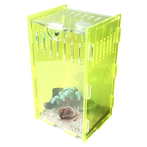 Reptilien-Terrarium, vertikales Acryl-Tarantel-Gehäuse, Aufzuchtbehälter, 12,7 x 10,2 x 20,3 cm, für Wirbellose und kleine Bäume, Reptilien, Mantis, Cricket, Schnecken, Frosch (fluoreszierendes Grün) von Generic