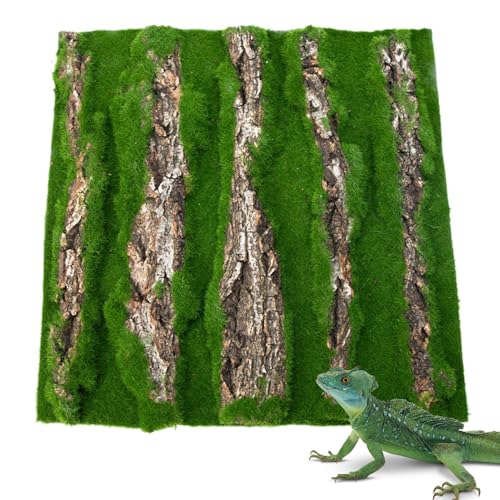 Reptilien-Wanddekoration – Dekoration für den Lebensraum der Eidechse, Rinde, Dekoration des Lebensraums der Reptilien mit künstlichem Schaumstoff für Gecko Lizard Schildkröte Frog Chameleon Reptilien-Wanddekoration – Dekoration für den Lebensraum der Eidechse, Rinde, Dekoration des Lebensraums der Reptilien mit künstlichem Schaumstoff für Gecko Lizard Schildkröte Frog Chameleon von Generic