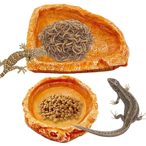 Reptilienfutterschale Reptilienfutterschale Reptilien-Futterschale Set 2 Stück Reptilien Futter Schalen Resin Wasserschalen für Reptilien Bart Drache Frosch Gecko Leo Reptilienfutterschale Reptilienfutterschale Reptilien-Futterschale Set 2 Stück Reptilien Futter Schalen Resin Wasserschalen für Reptilien Bart Drache Frosch Gecko Leo von Generic