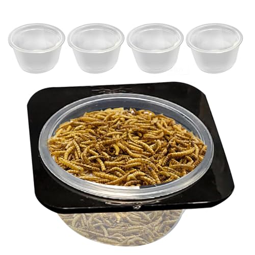 Reptilienwassergericht, Reptilienfuttergericht | Crested Water Bowl Reptile Food Feeder - Abnehmbare Tankzubehör mit Tassen Fütterungsschale für bärtigen von Generic