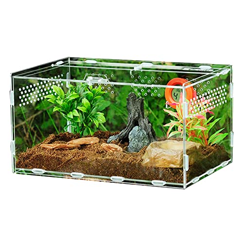 Reptilienzuchtbox | Zuchtbox Terrarienbecken Klarer Fresshabitat | Terrarienkäfig Tank für Vogelspinne Skorpion Sling Asseln Wirbellose Insekten von Generic