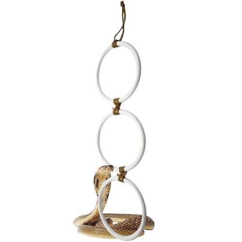 Reptiltankazubehör - Snake Terrarium Swing Toy, Amphibian Spielplatz Chain | Interaktives Haustier Kletterreifen, Habitat-Dekoration mit Indoor Home Setup für Eidechsen Geckos Frösche kleine Reptiltankazubehör - Snake Terrarium Swing Toy, Amphibian Spielplatz Chain | Interaktives Haustier Kletterreifen, Habitat-Dekoration mit Indoor Home Setup für Eidechsen Geckos Frösche kleine von Generic