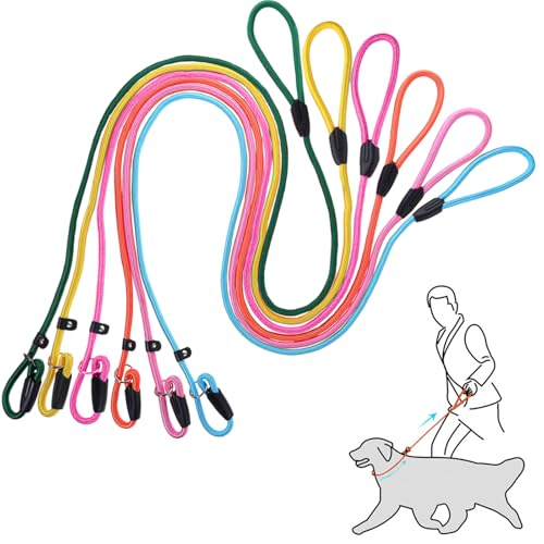 Retrieverleine, Hundeleine, Nylon, strapazierfähig, kein Ziehen, geeignet für große, mittelgroße und kleine Hunde, 6 Stück (sechs Farben) von Generic