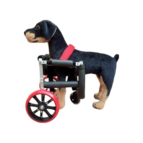 Rollstuhl Für Die Vorderbeine Von Haustieren, Verstellbare Mobilitätshilfe Mit Schaumstoffschläuchen, Leise Räder, Atmungsaktives Geschirr Für Hunde Und Katzen(XXS) von Generic