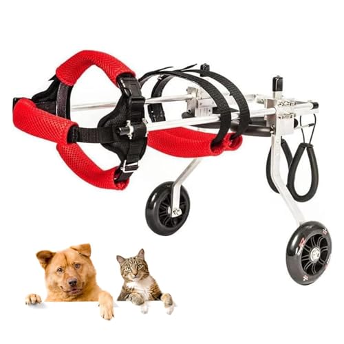 Rollstuhl Für Kleine Hunde Hunderollstuhlwagen Für Die Hinterbeine, Leichter Aluminiumrahmen Für Hunde Mit Arthritis, Lähmungen, Verletzungen Oder Behinderungen(M) von Generic